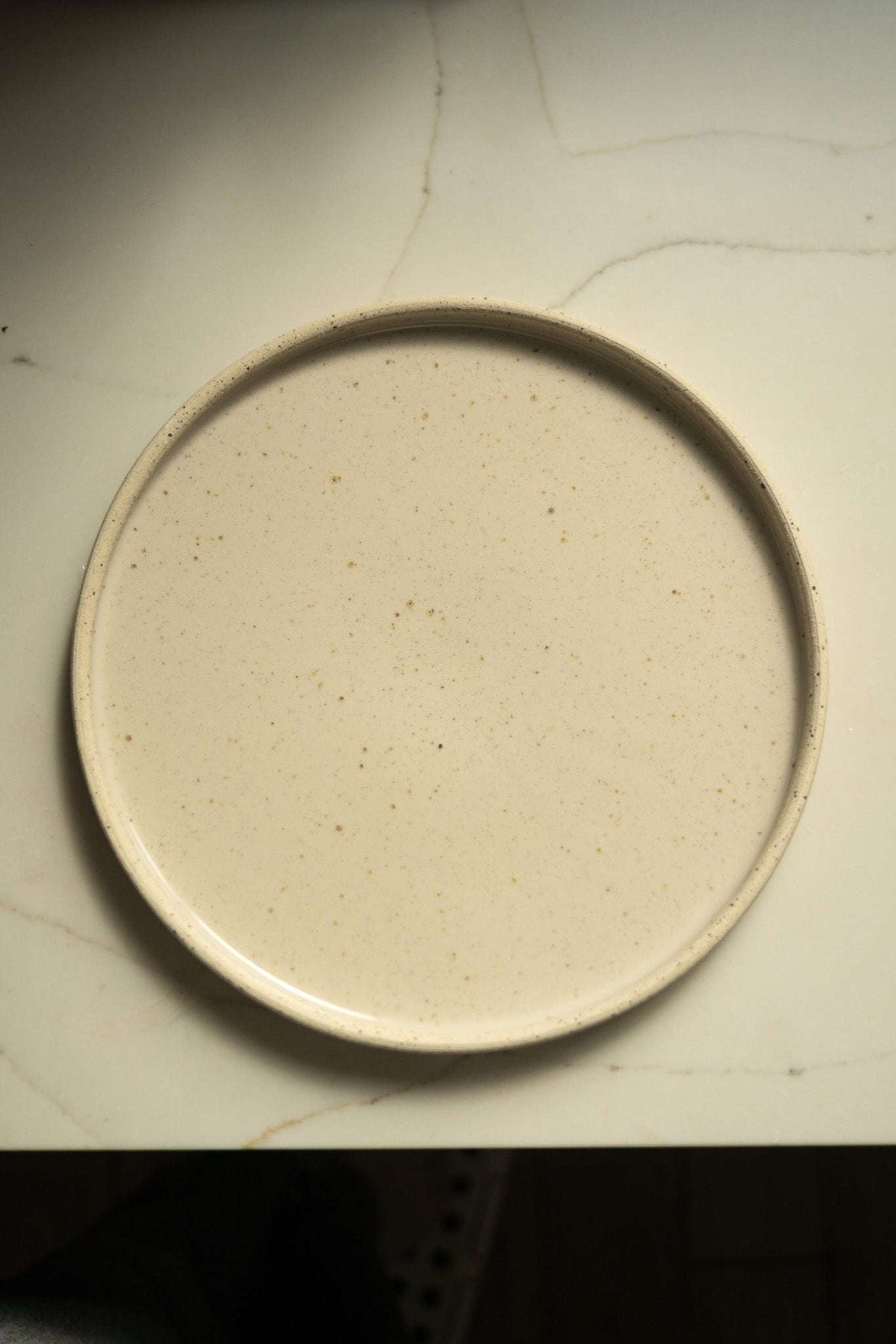 Stoneware Pottery Plate in creamy white stoneware with fine brown speckles, a raised rim, and a glossy glazed surface.