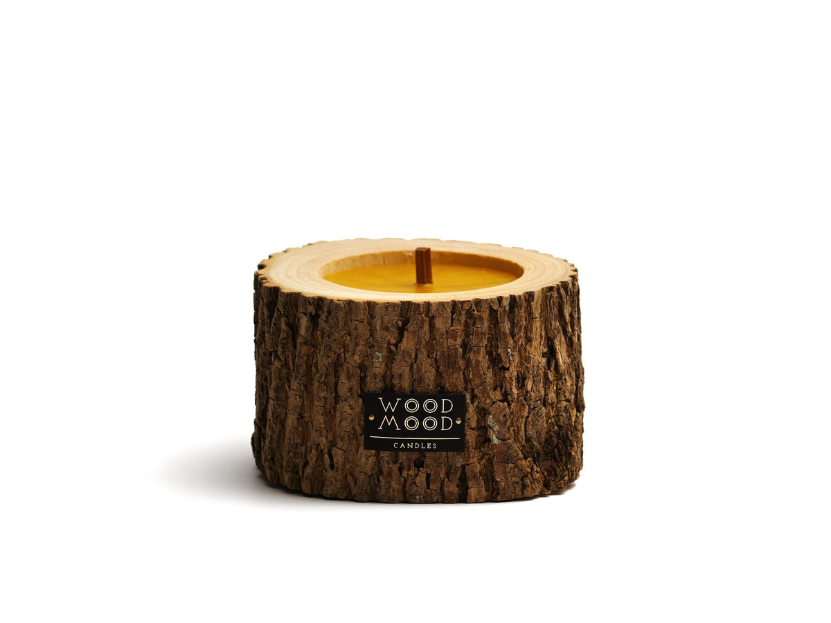 Rocky Wood Candle with multi-layer wick and Winter Spruce scent on cork base